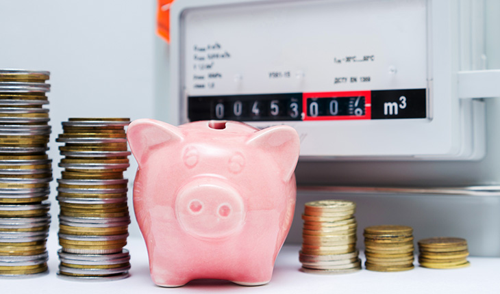 tirelire en forme de cochon avec des pièces d'euro